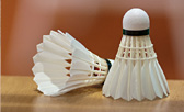 Badminton